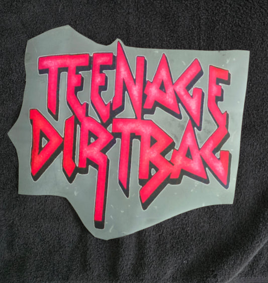 Teenage Dirtbag