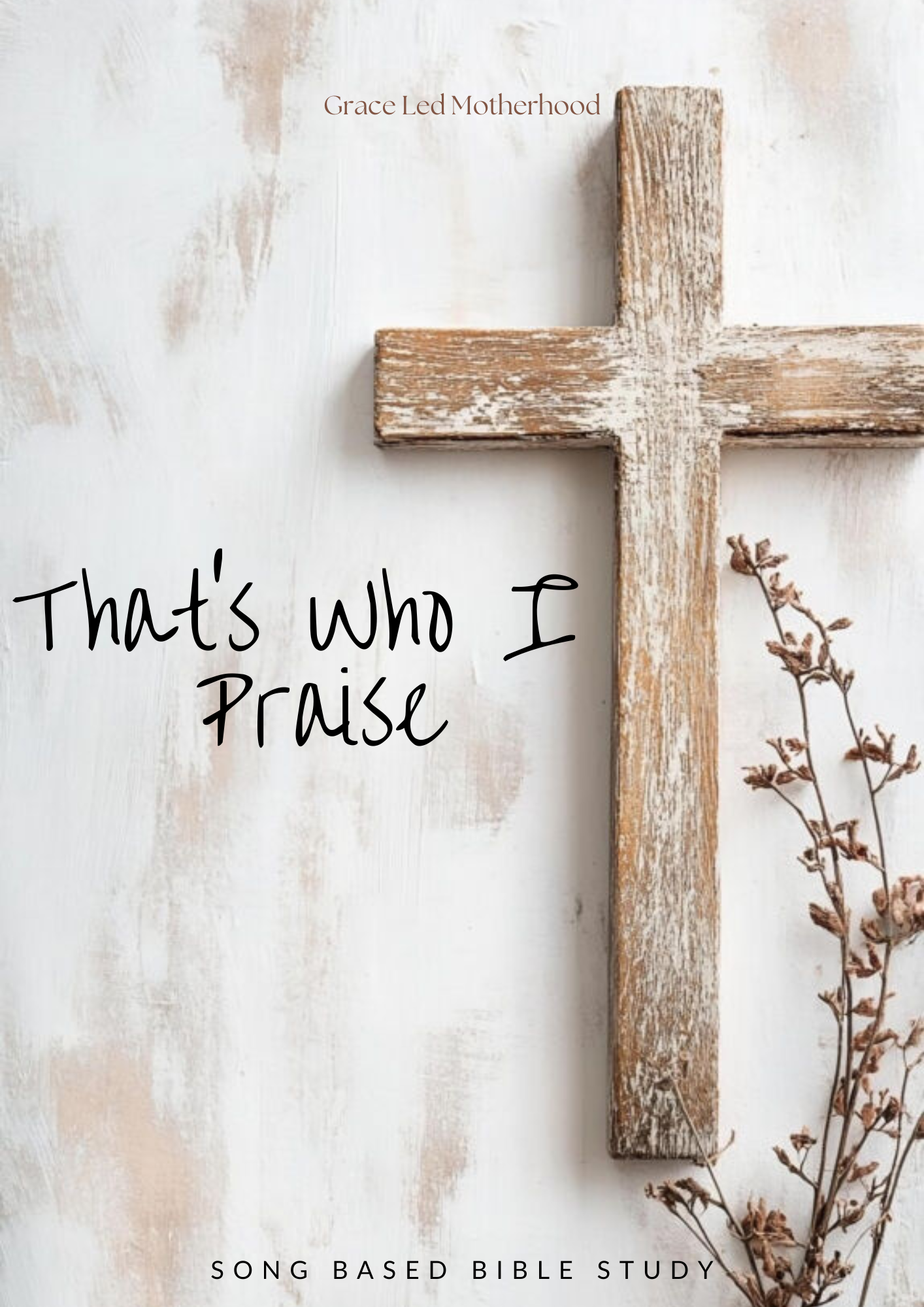 That's Who I Praise - Bible Study
